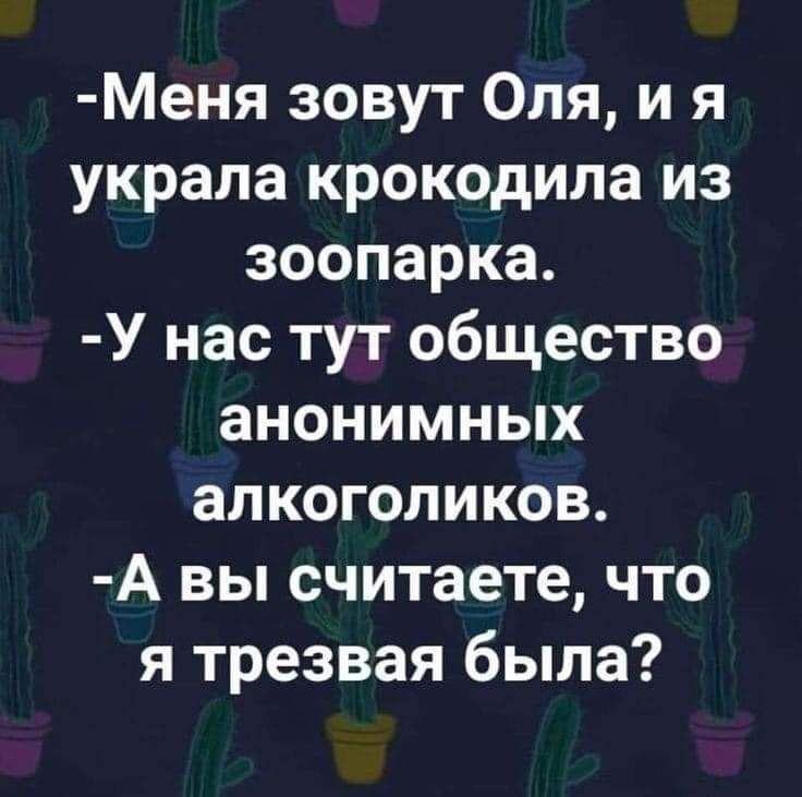 Меня зовут Оля и я украла крокодила из зоопарка У нас тут общество анонимных алкоголиков А вы считаете что я трезвая была
