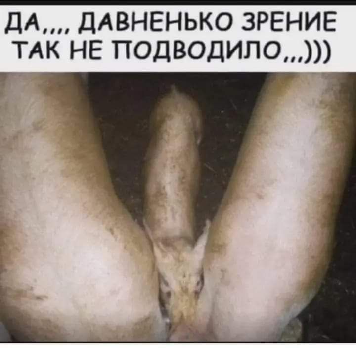 ДА ддвнвнько ЗРЕНИЕ тдк не подводило