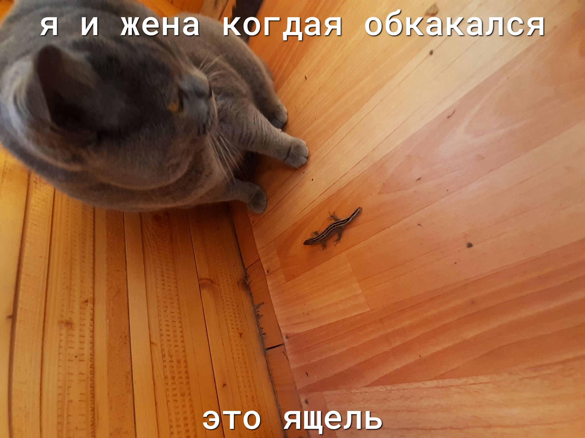 __ ЕМЫЛ См