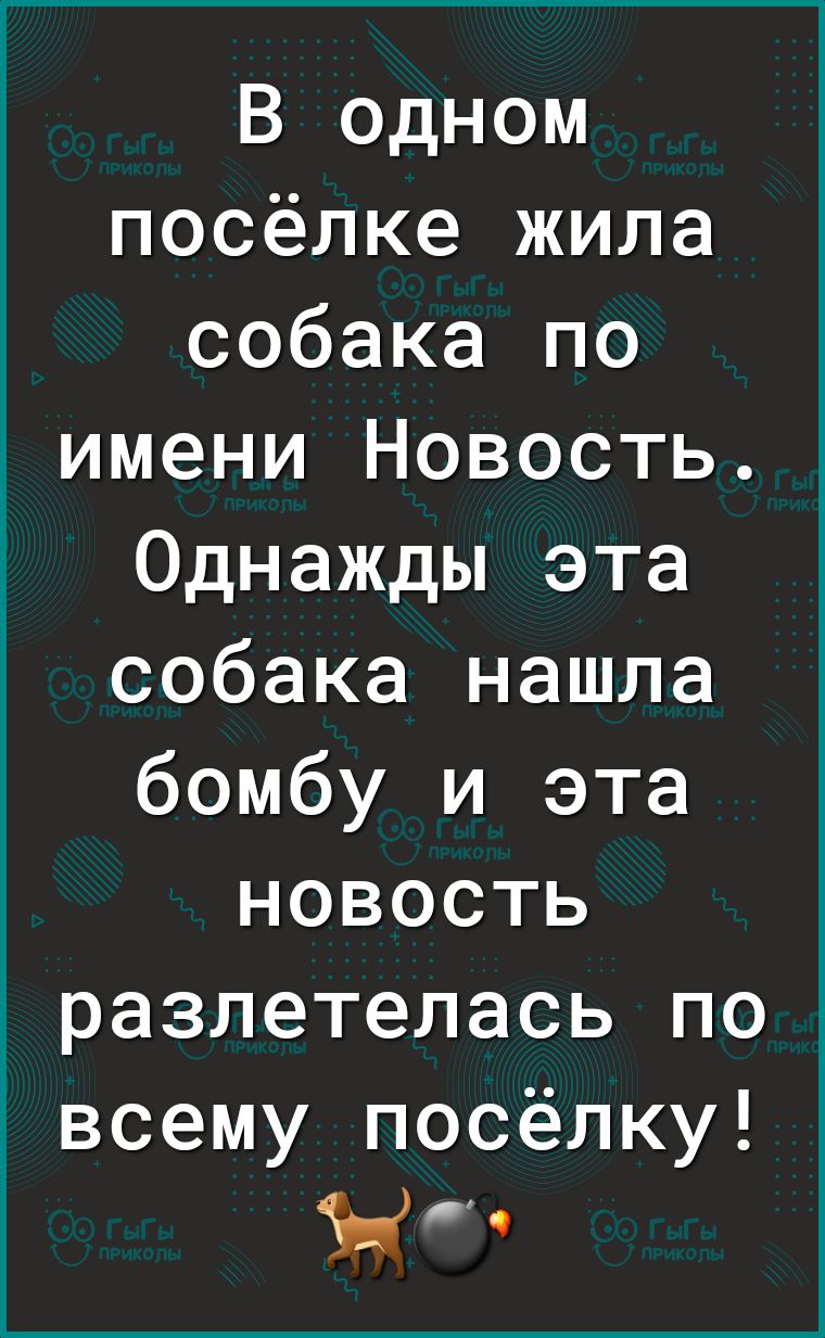 В одном посёлке жила собака по имени Новость Однажды эта собака нашла бомбу и эта новость разлетелась по всему посёлку ЪЫч