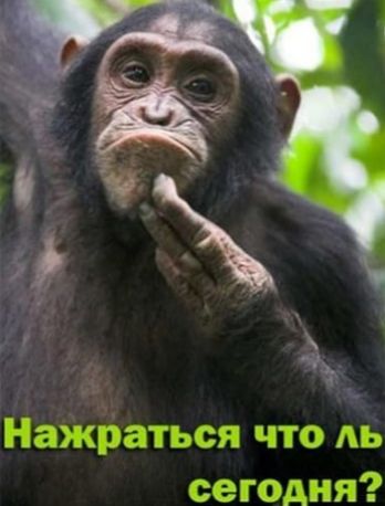 Нажраться что ль сегодня