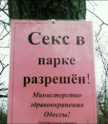 Секс в парке разрешён в Министерства здравохранения Одгсси