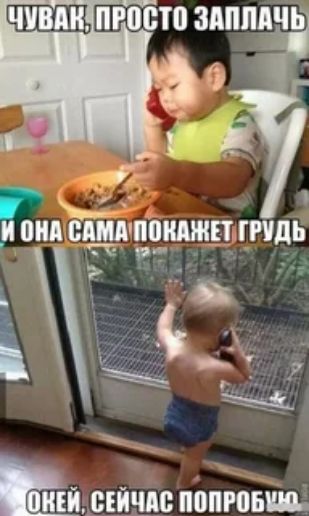 ПЮСТП ЗАППШЬ 3511 ПЮПРПБШ