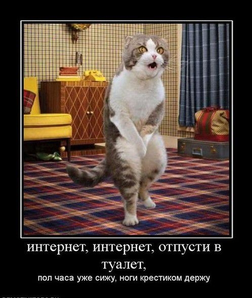 __7 ЧЩ интернет интернет отпусти В туалет пол часа уже сижу ноги крестиком держу