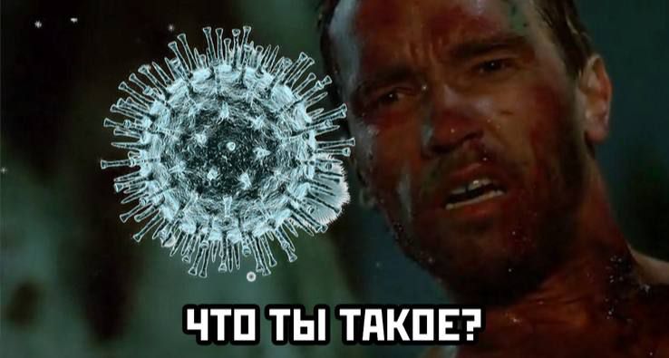 ЧТП ТЫ ТдКПЕ