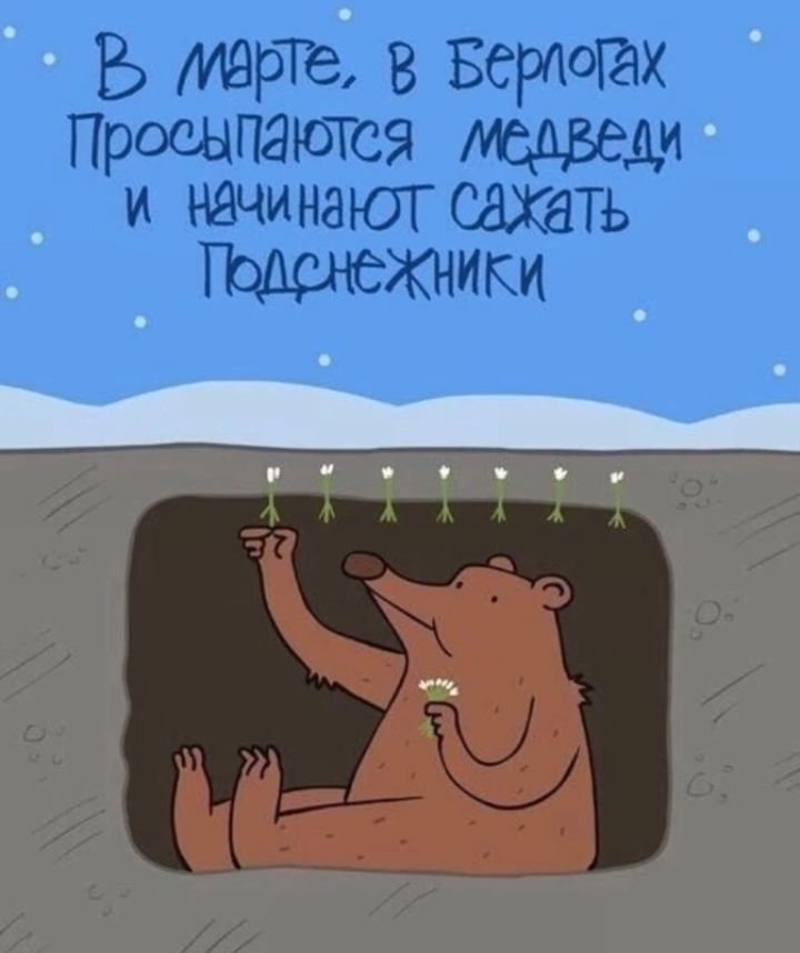 15 Марте в Бераоих Просыпаютса И НЗЧИНЭЮГ СЗХЩЬ ики