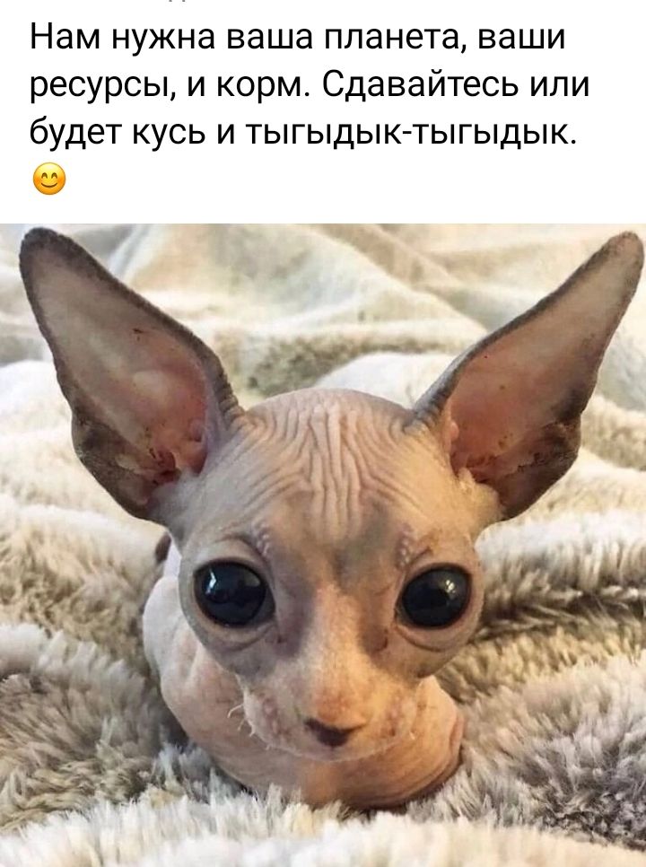 Нам нужна ваша планета ваши ресурсы и корм Сдавайтесь или будет кусь и тыгыдык тыгыдык