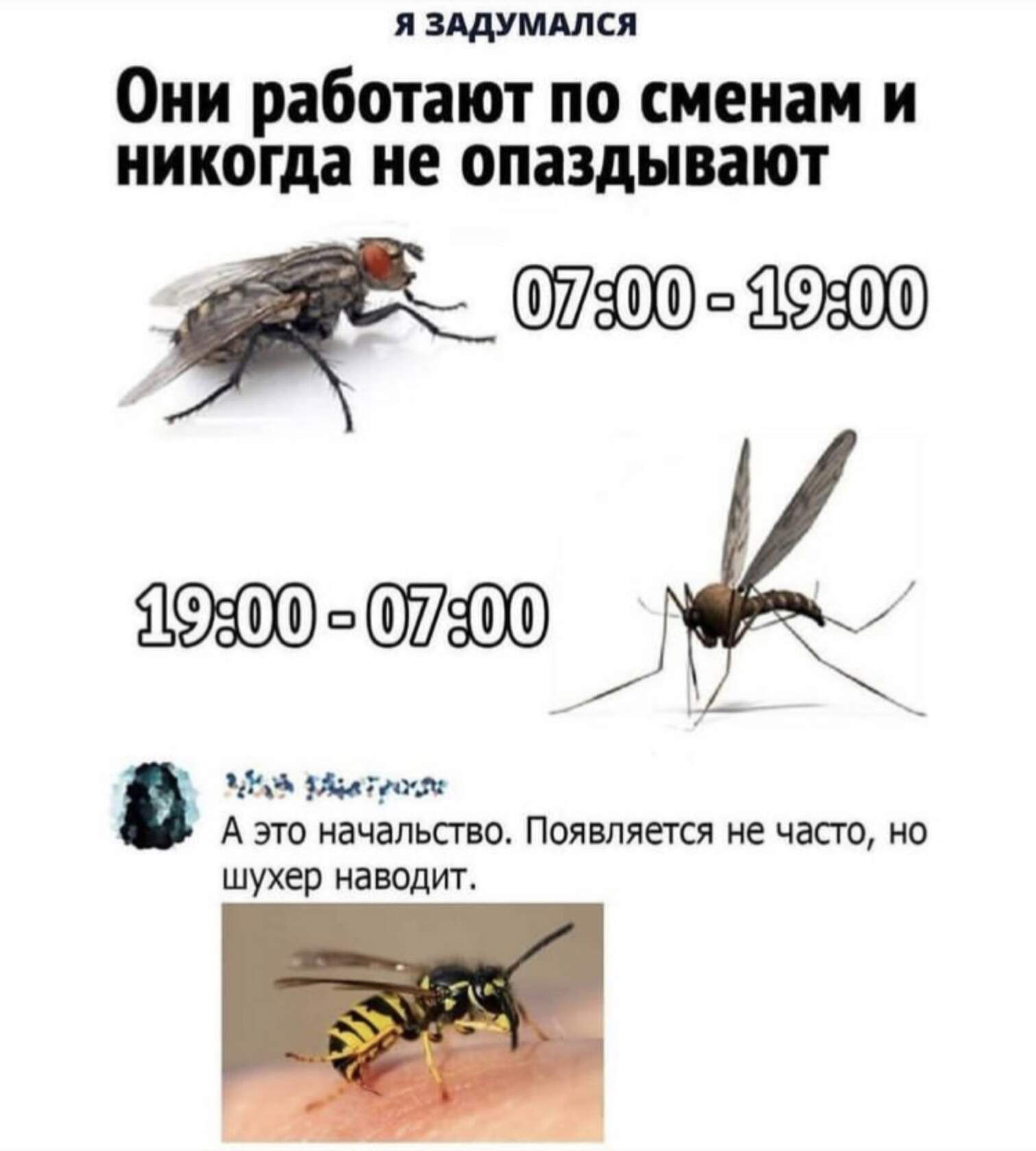 л зшммся Они работают по сменам и никогда не опаздывают 4 штифт д Чин Инги А это начальство Появляется не часто но шухер наводит