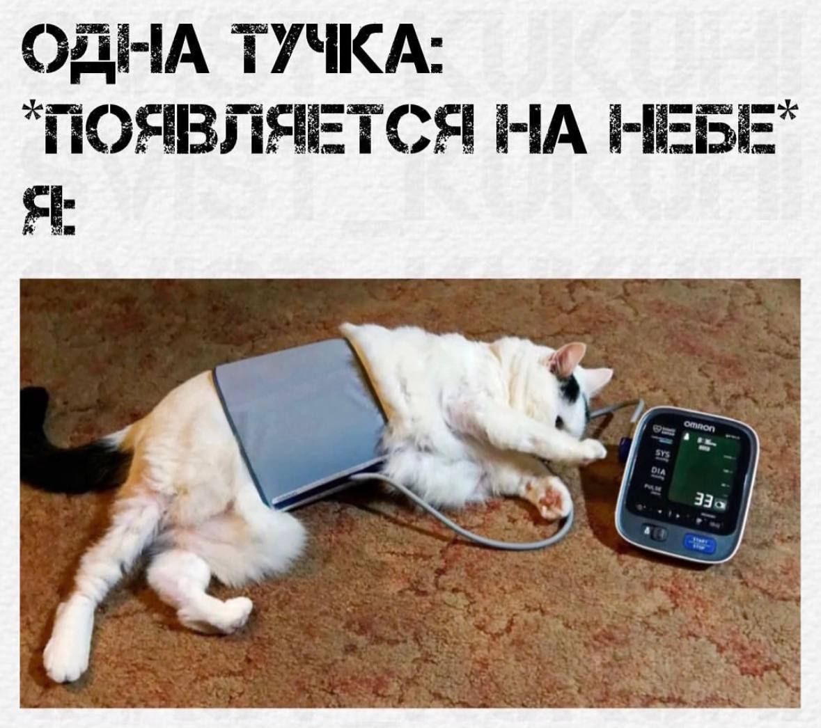 Ді іА ТУЧКА ПОЯВПЯЕТСЯ НА НЕБЕ Я
