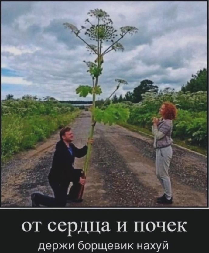 ОТ сердца И ПОЧСК держи борщевик нахуй