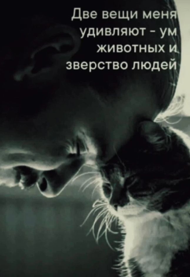 Две вещи мен удивляют ум животных и зверство людей