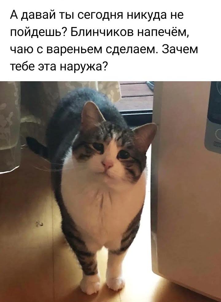 А давай ты сегодня никуда не пойдешь Блинчиков напечём чаю вареньем сделаем Зачем тебе эта наружа