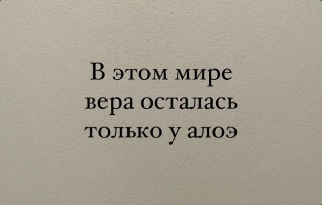 В этом мире вера осталась только у алоэ