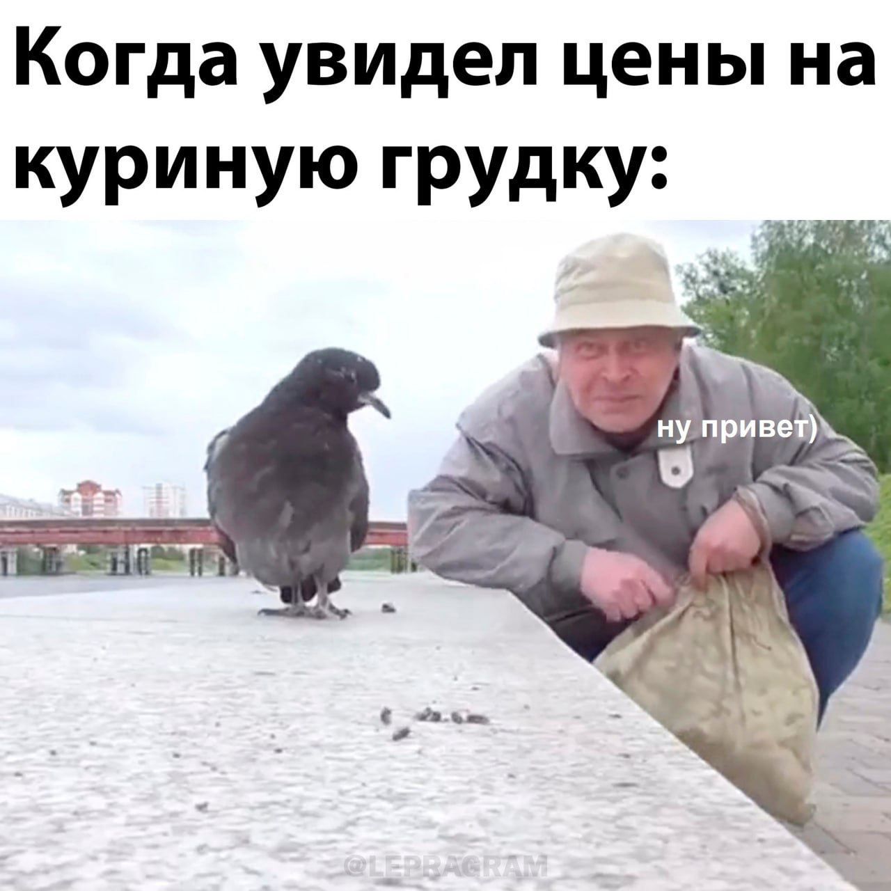 Когда увидел цены на куриную ГРУдКУ