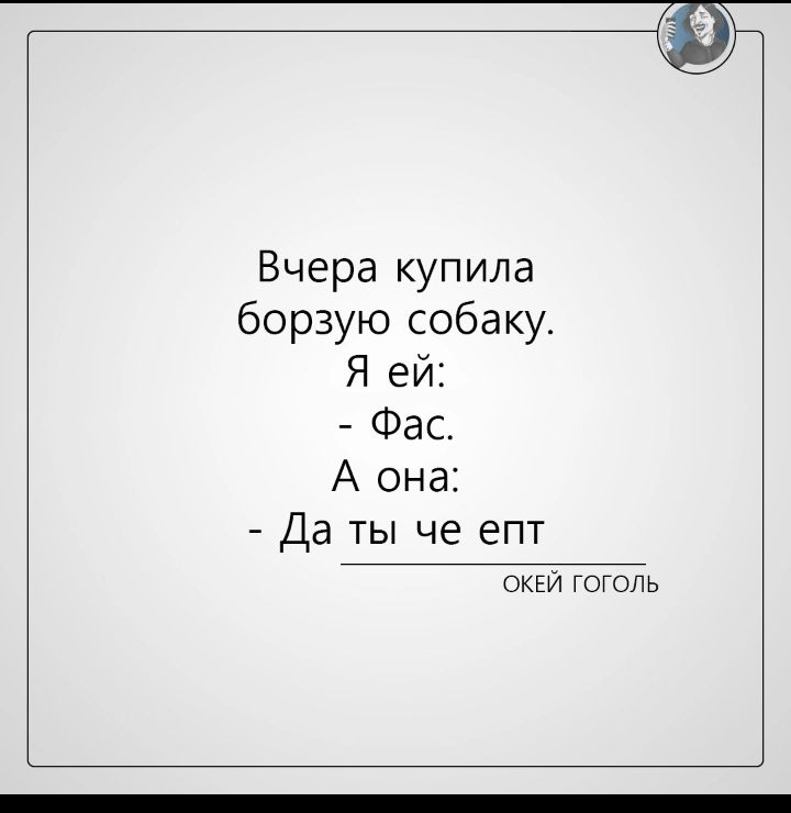 Вчера купила борзую собаку Я ей Фас А она Да ты че епт окви гоголь