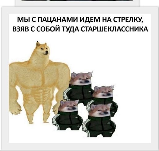 МЫ С ПАЦАНАМИ ИДЕМ НА СГРЕЛКУ ВЗЯВ С СОБОЙ ТУДА СГАРШЕКЛАССНИКА в