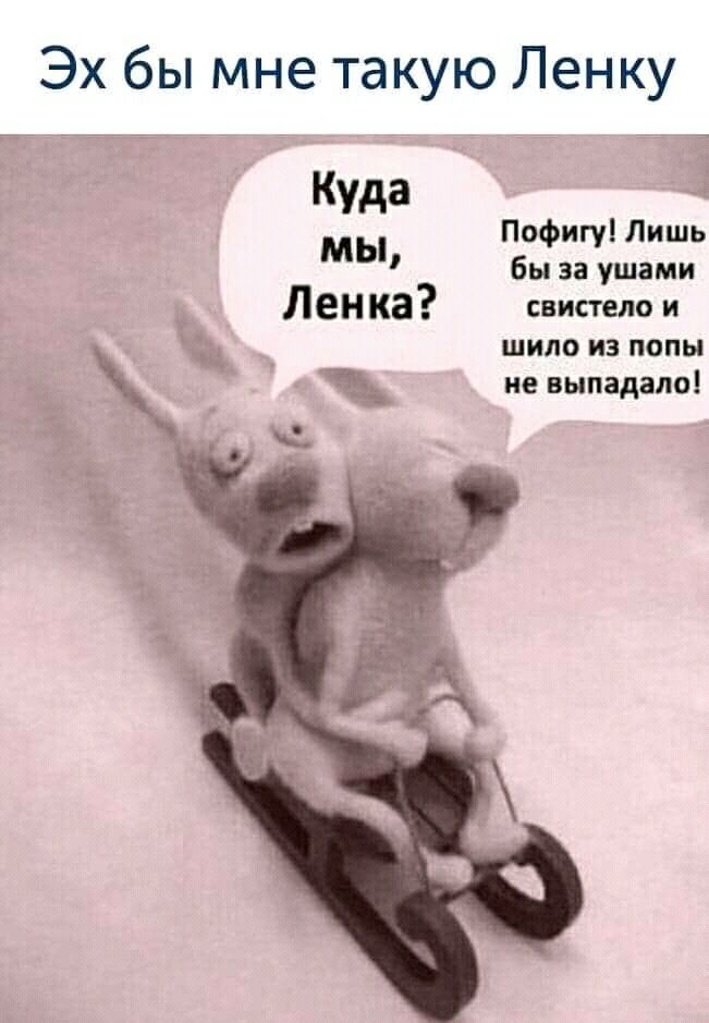Эх бы мне такую Ленку Куда Пофигу Лишь МЫ бы за ушами Ленка систем и шило из попы ие выпадало
