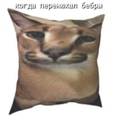 когда пэраэшлшл бэбры