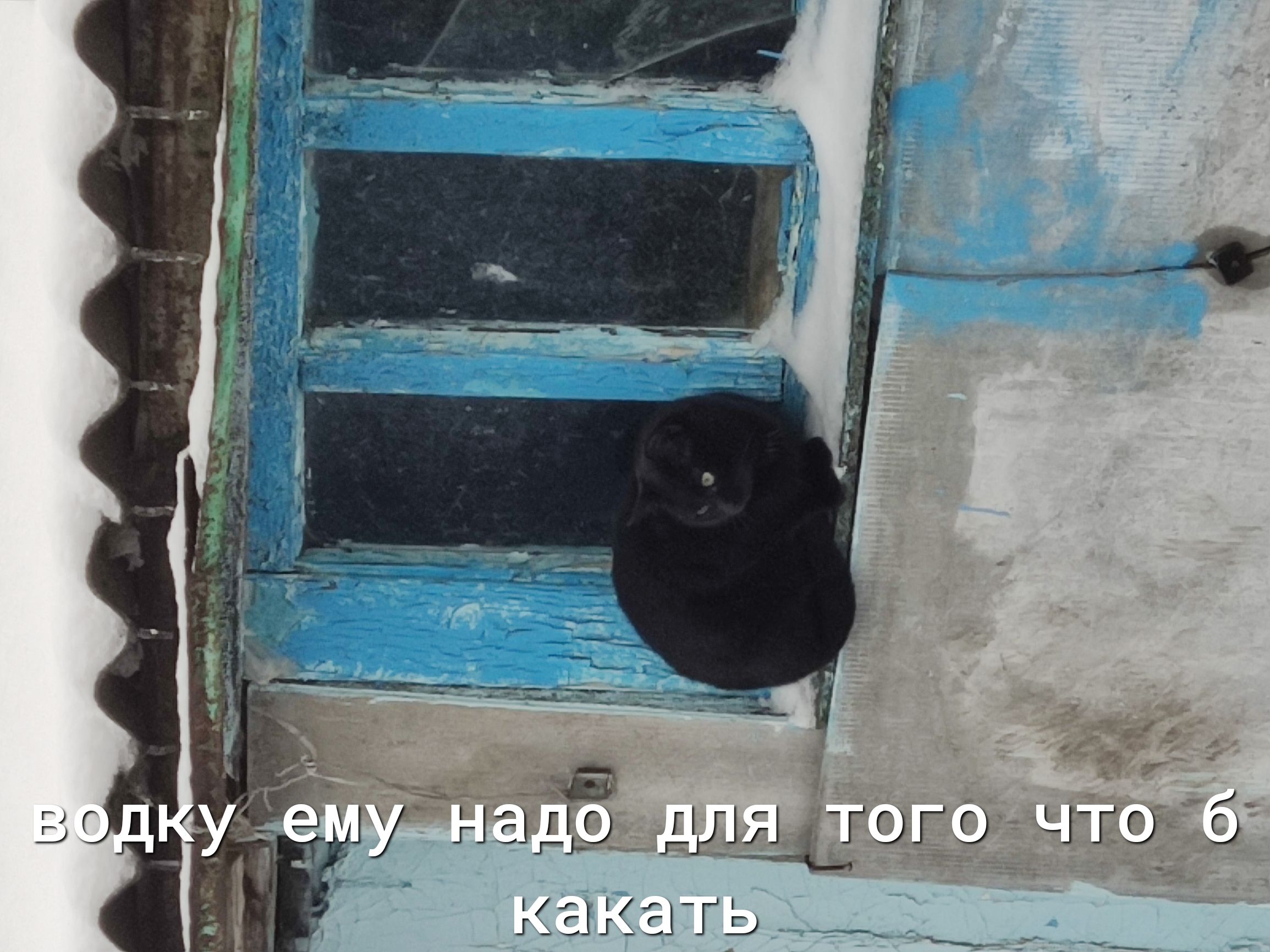 ЕЬ ДАГ 3115 __ ОГО _____ их