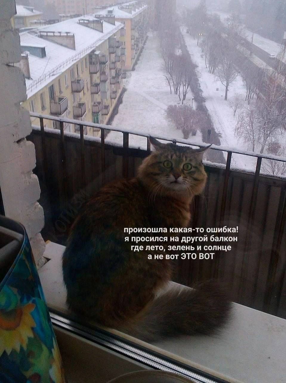 произошла какаято ошибка я просипся на другой балкон где лето зелень и солнце а не вот ЭТО ВОТ М