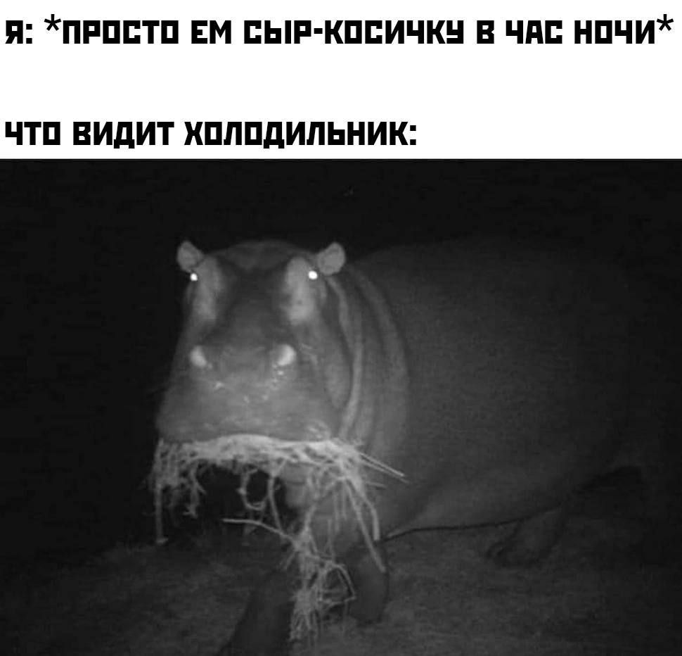 Я ПРПБТП ЕМ СЫР КПБИЧКН В ЧАС НПЧИ ЧТП ВИДИТ ХПЛПДИПЬНИК