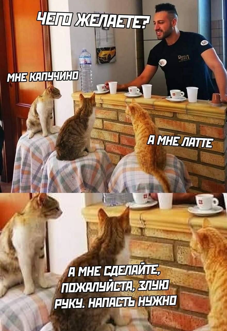 ппишлнй Злдп пнкн ндпдвтьіжнтіаш А мне пдЁЩитл Егк