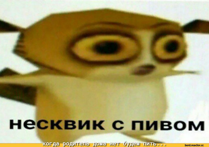 несквик спивом гсзгдвъташпаль душ иэг будды ты нм