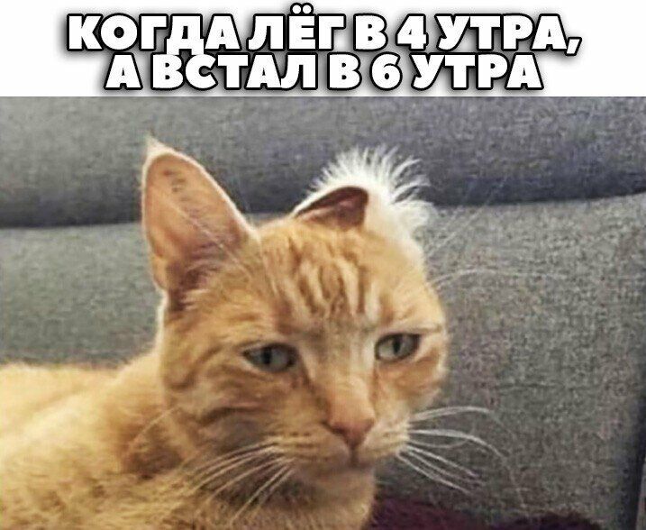 Когдалегнв!4утра 'австалв!6утра! Тря
