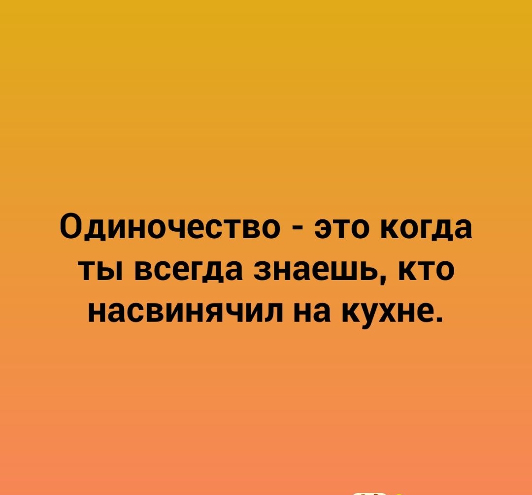 Одиночество это когда ты всегда знаешь кто насвинячил на кухне