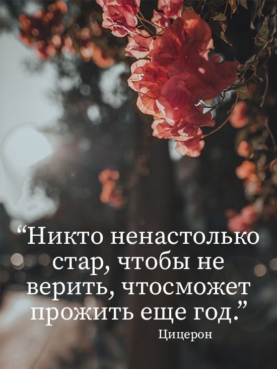 Никто ненастолько стар чтобы не е ить чтосможет ть еще год Цицерон
