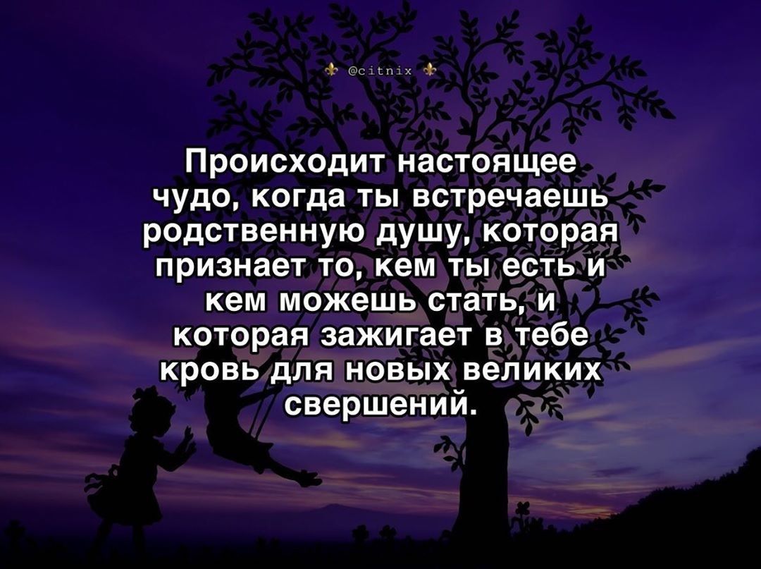 сщп 7 Происходит настоящее чудо когда ты встречаешь родственную душу которая признает то кем ты есть и кем можешь стать и которая зажигает в тебе кровь для новых великих свершений