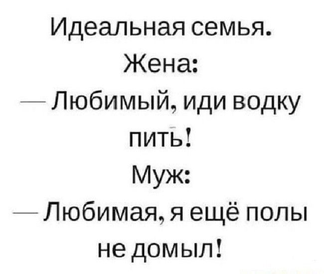 Идеальная семья Жена Любимый иди водку пить Муж Любимая я ещё полы не домыл