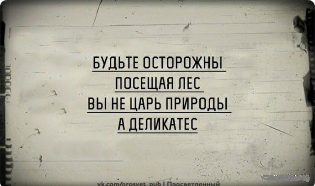 1 БУДЬТЕ ОЕТОРПЖНЫ ПОЕЕЩАН ПЕС ВЫ НЕ ЦАРЬ ПРИРОДЫ АДЕПИКАТЕС