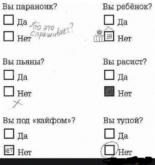 Вы параноик Вы пьяны Пда ПНет Вы под кайфом Пда Вы ребёнок Ш Да Нет Вы расист Пда Нет Вы тупой Пда Нет Нег
