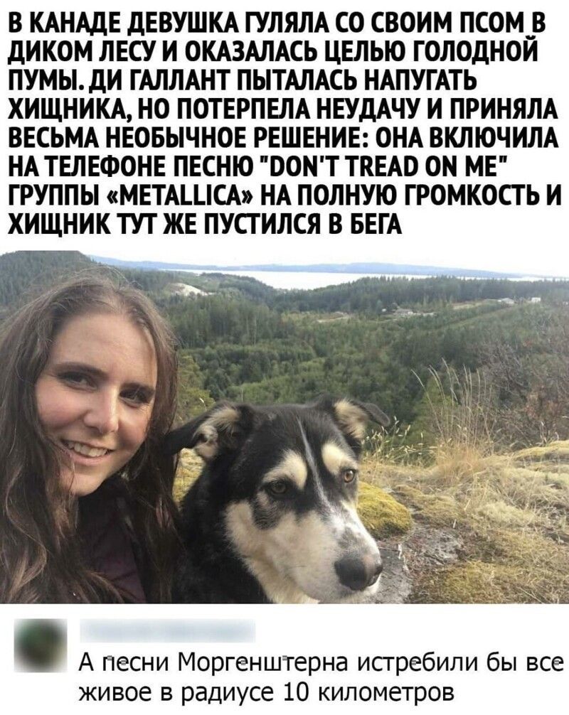 В КАНАДЕ ДЕВУШКА ГУЛЯЛА СО СВОИМ ПСОМ_В дИКОМ ЛЕСУ И ОКАЗАЛАСЬ ЦЕЛЬЮ ГОЛОДНОИ ПУМЫ дИ ГАЛЛАНТ ПЫТАЛАСЬ НАПУГАТЬ ХИЩНИКА НО ПОТЕРПЕПА НЕУДАЧУ И ПРИНЯЛА ВЕСЬМА НЕОБЫЧНОЕ РЕШЕНИЕ ОНА ВКЛЮЧИЛА НА ТЕЛЕФОНЕ ПЕСНЮ ООНТ ТКЕАО ОН МЕ ГРУППЫ МЕТАЪЦСА НА ПОЛНУЮ ГРОМКОСТЬ И ХИЩНИК ТУТ ЖЕ ПУСТИЛСЯ В БЕГА А песни Моргенштерна исгребили бы все живое в радиусе 10 километров