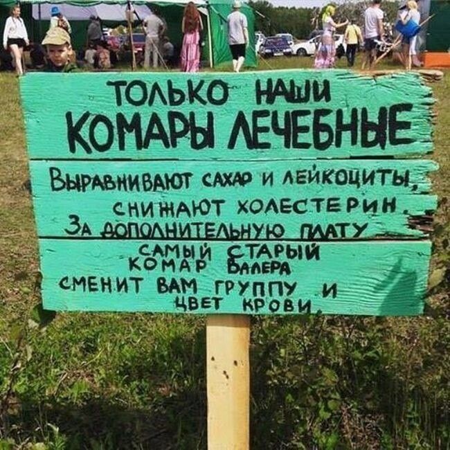 Тоаько нч:  комары авчввннг атыд :арый сненит вам гру цветк!