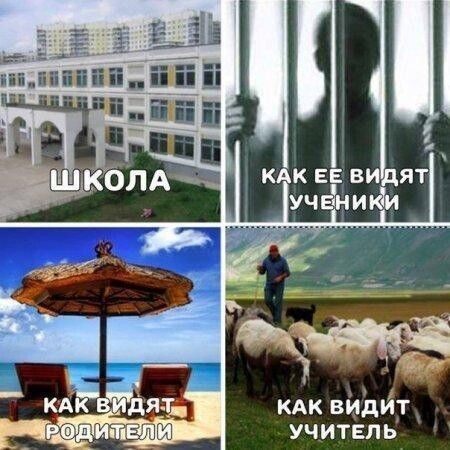 КАК вйдйд учитель