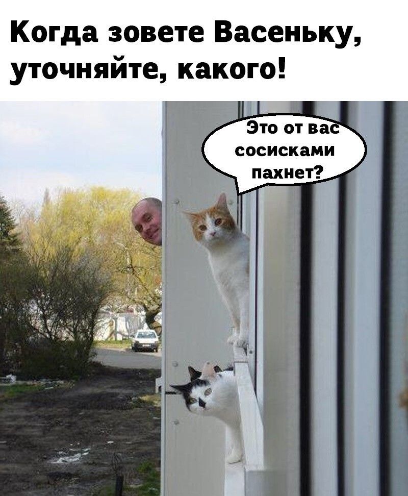 Когда зовете Васеньку уточняйте какого Это от ва сосисками пахнет