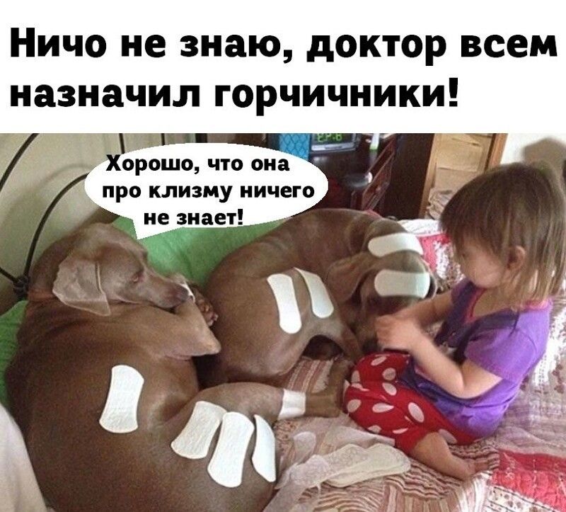 Ничо не знаю доктор всем назначил горчичники орошо что она про клизму ничего не знает