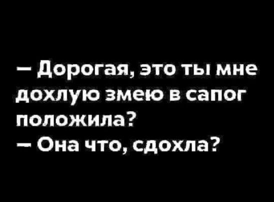 дорогая это ты мне дохлую змею в сапог положила Она что сдохла