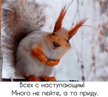 Всех с наступающим Много не пейте о то приду