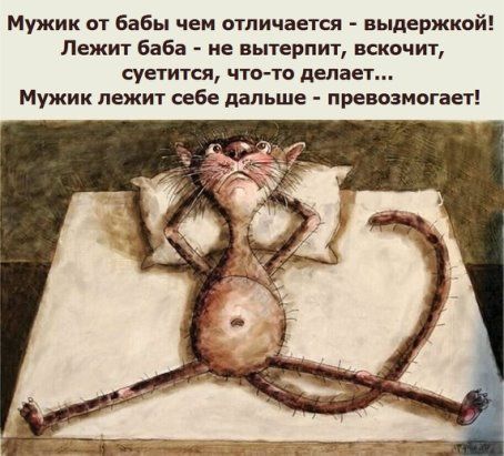 Мужик от бабы чем отличается выдержкой Лежит баба не вытерпит вскочит суетится что тс делает Мужик лежит себе дальше превозмогает