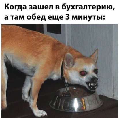 Когда зашел в бухгалтерию а там обед еще 3 минуты