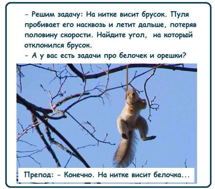 Решим задачу На нитке висит брусок Пуля пробивает его насквозь и летит дальше потеряв половину скорости Найдите угол на который отклонился брусок А у вас есть задачи про белочек и орешки 1 Препод Конечно На нитке висит белочка