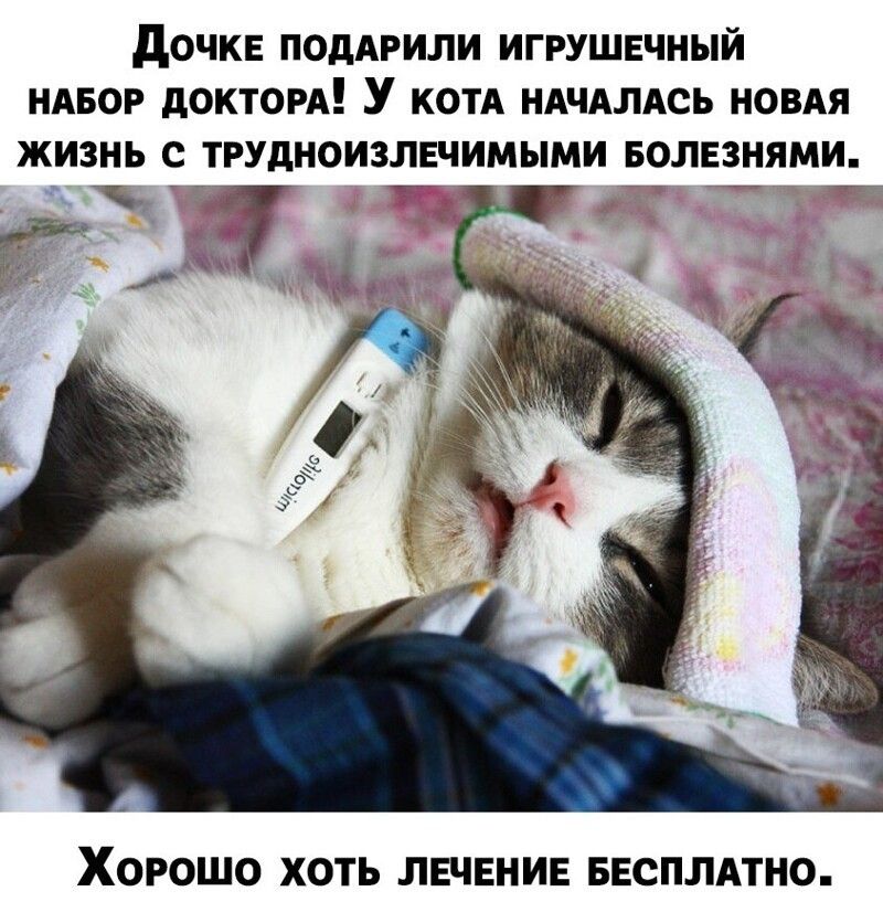 дочки ПОдАРИЛИ игрушвчный ндвор дОКТОРА У КОТА ндчдлдсь новдя жизнь с трудноизлвчимыми Болезнями _ Ёе г ХОРОШО ХОТЬ ЛЕЧЕНИЕ БЕСПЛАТНО