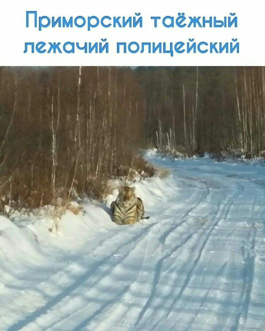гг ГГ г т1 Г_ Т б ПОТЁГ 1и П и 21 7 д 71