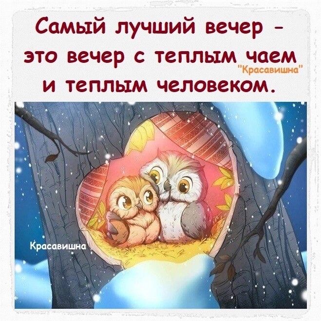 Самый лучший вечер это вечер с теплым чаем и теплым человеком Красавичнп _ И