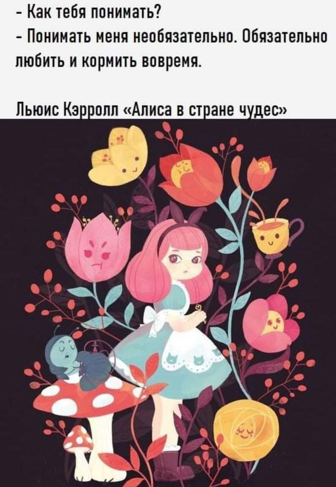 Как тебя понимать Понимать меня необязательно Обязательно ЛЮБИТЬ И КОРМИТЬ ВОВРЭМЯ Льюис Кэ опп Алиса в ст ане ч део