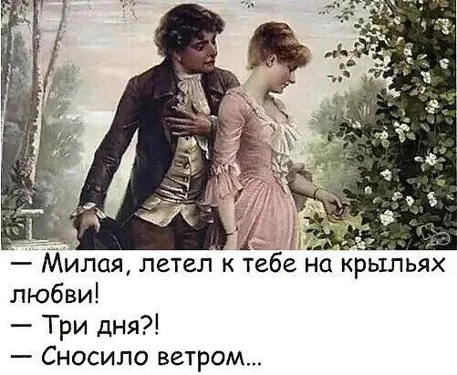 Милая летел к тебе на крыльях любви Три дня Сносило ветром