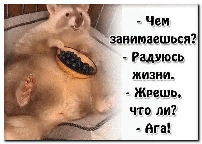 Чем Хаанимаещпсяё Радищев жизни Жрещп что ли ага